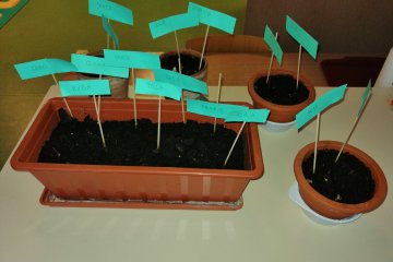 54518283_2184717278315615_3149645925001986048_o
