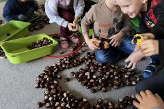 Dziś w Bursztykach klocki i inne zabawki zastąpiliśmy kasztanami, które nazbierała dla nas wspólnie z mamą Natalka