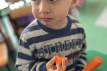 339290323_230958919475361_1901362824697609407_n