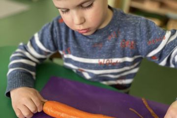 339296397_1355603138345392_2223876646694994628_n