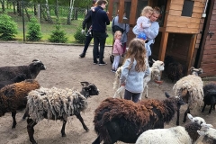 Frajlandia Mini Zoo