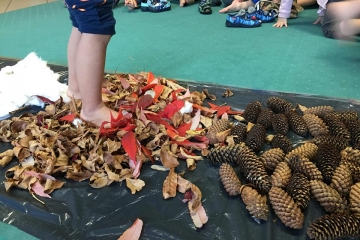 44683247_1964829560304389_2768130031707226112_n