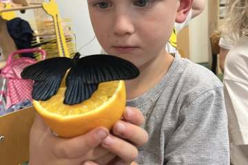 552461475_1907518173413667_6419629304071672051_n