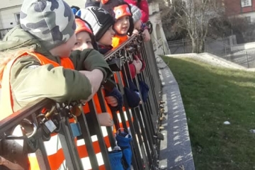 52999920_2157429817711028_1892248099674390528_n