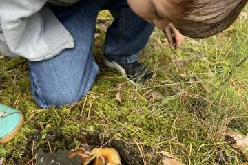 548190278_1898704564295028_3856339599763111455_n