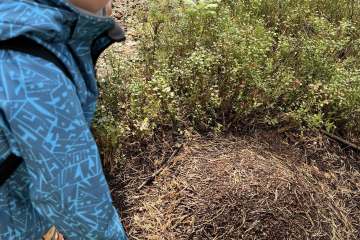 548695190_1898704530961698_5951811820678700688_n