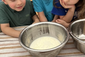 448574228_1527856781379810_1804783525351568764_n