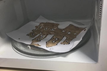 148417646_3742748812512446_663408689955145203_n