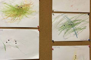 331979574_3331742240487336_2455764779815275068_n