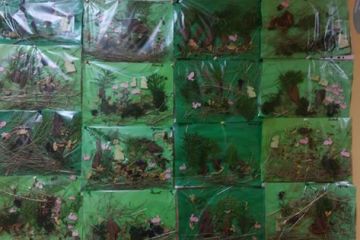 13151568_1001371106650244_1161409611781152862_n