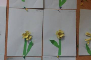 13151950_1001373709983317_8410430603009588698_n