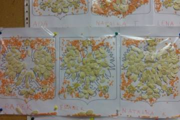 13177360_1001373396650015_3388036759374303841_n