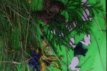 13179072_1001371136650241_3836389690274308956_n