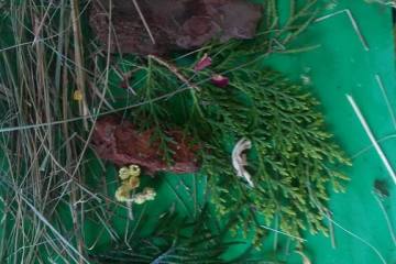 13179331_1001371159983572_105986587748374984_n