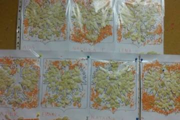 13221742_1001373343316687_6711316274687203727_n