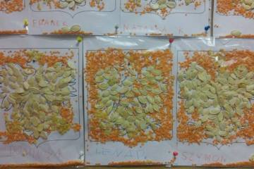 13226947_1001373366650018_6922174499230302394_n