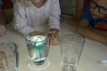 41454971_1909315775855768_6350366651900231680_n