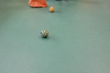 123748291_3487876477999682_593799716089452470_n