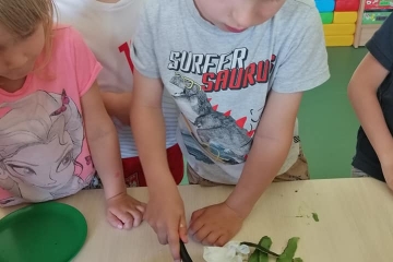 62491680_2308928472561161_4252090255231942656_n