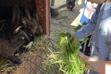 378822285_1331820797650077_5362214981256151331_n