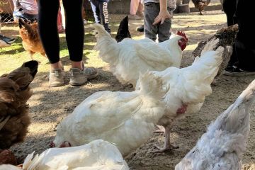 379066266_1331821124316711_6618635261507943985_n