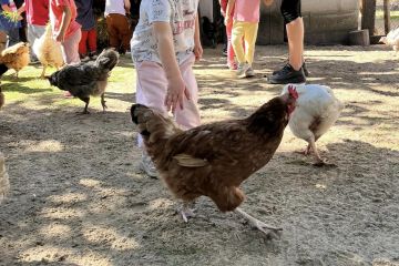 379417596_1331820744316749_4162642045191627902_n