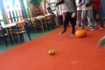 46473956_2003122366475108_6012464588128256000_n