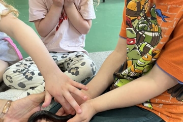 343172073_788484382648123_2263985466103531926_n