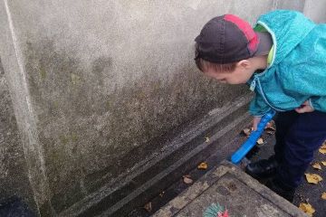 74936924_2566973726756633_3905918502514458624_o