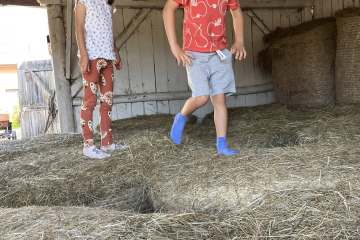 550500016_1905425330289618_4323916887829152406_n