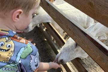 551043711_1905425366956281_8357752755984769372_n