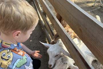 552090047_1905425260289625_8705906794236732200_n