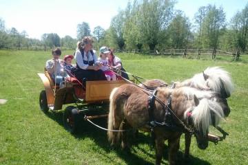 18556341_1376286512492033_6221714995316088497_n