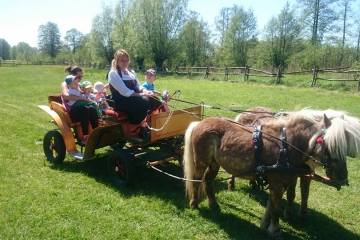 18581993_1376286879158663_5319299890107051816_n