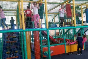 13103261_998892743564747_6014521660686682671_n