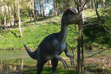 13138995_998887680231920_5087442209299929950_n