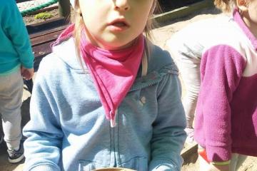 13151470_998888130231875_5168732335038786822_n