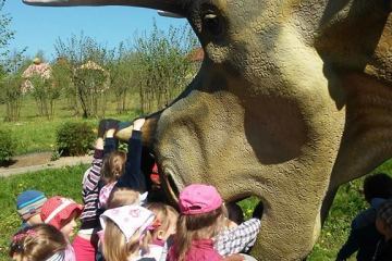 13174134_998887526898602_220985260504816132_n