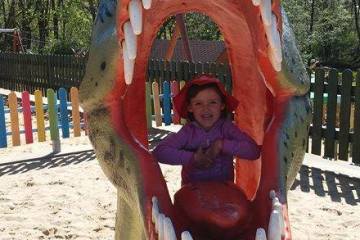 13177468_998892706898084_5018783840957637586_n